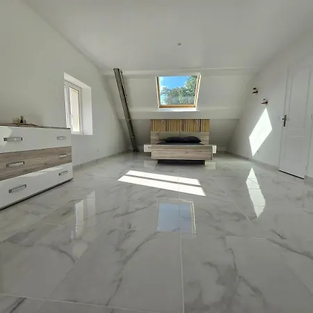 Appartement 150m2 Avec Jardin 3000 M2 Buzancy (Ardennes)